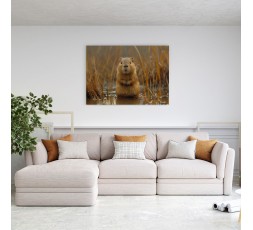 Quadro foto animali - tela arredo soggiorno, casa, ufficio